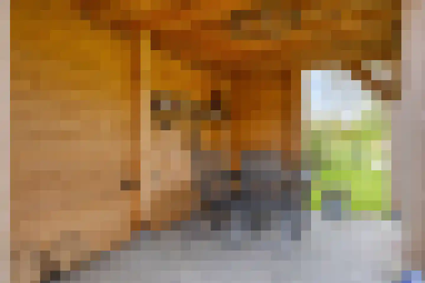 Kuipershoek 18 Drimmelen thumbnail 68