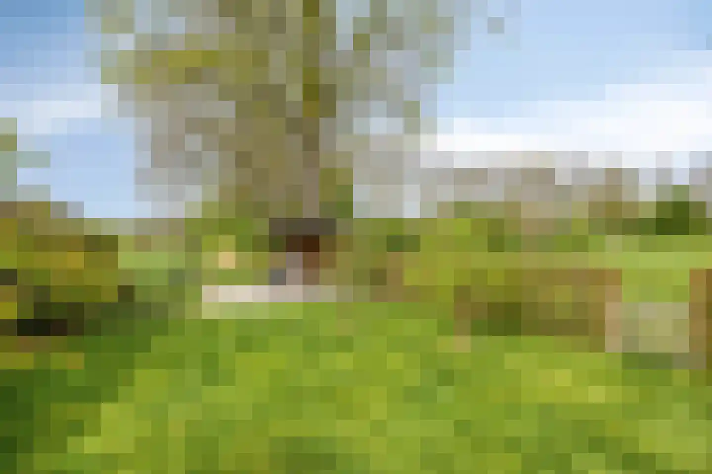 Kuipershoek 18 Drimmelen thumbnail 71