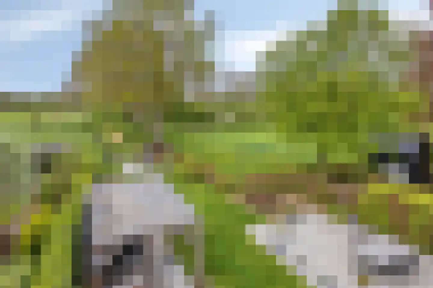 Kuipershoek 18 Drimmelen thumbnail 75