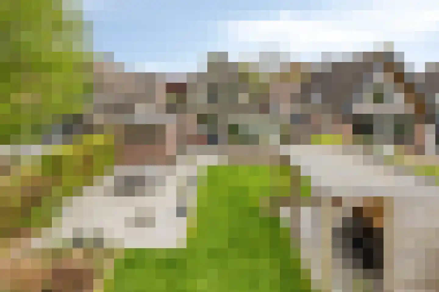Kuipershoek 18 Drimmelen thumbnail 76