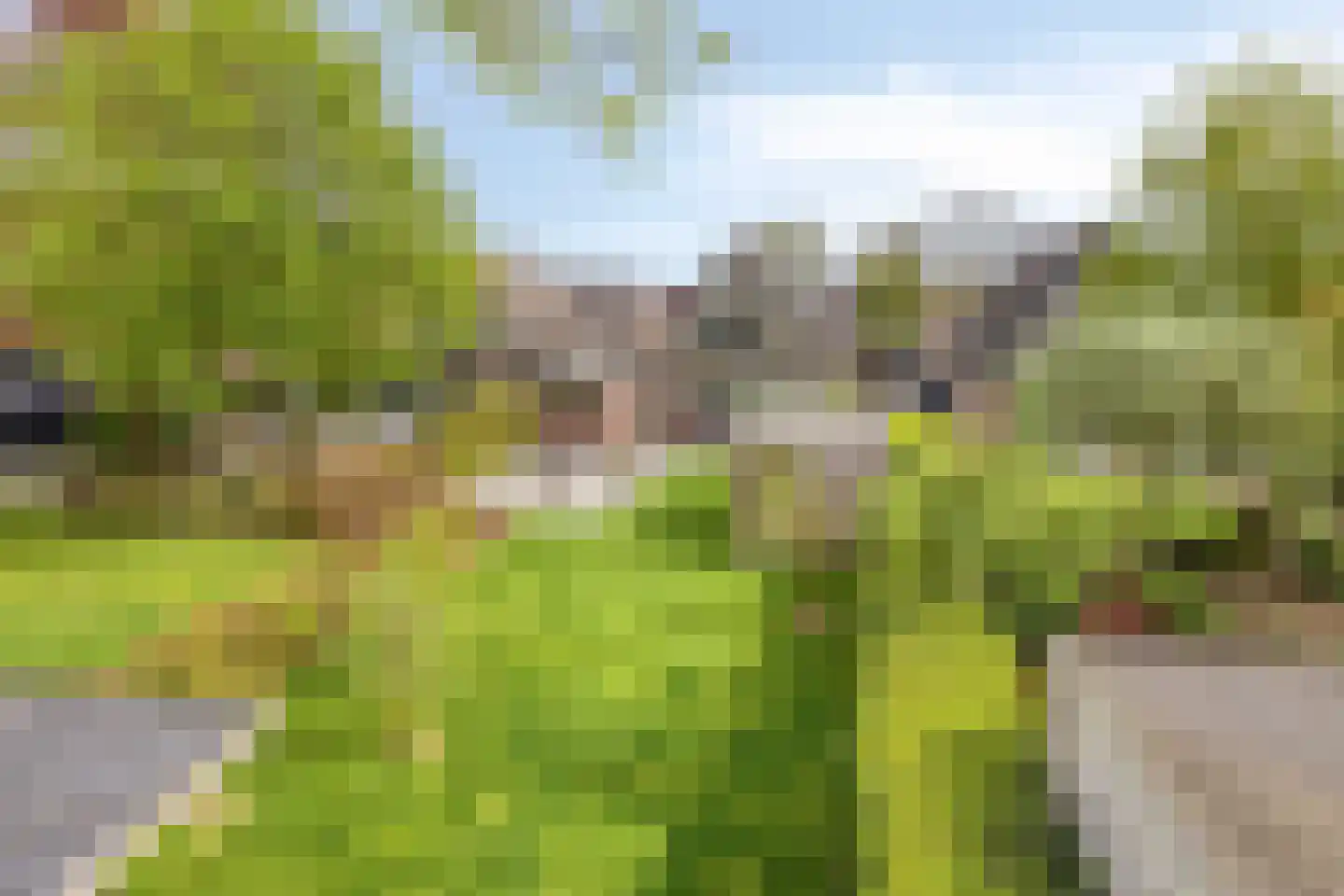 Kuipershoek 18 Drimmelen thumbnail 77