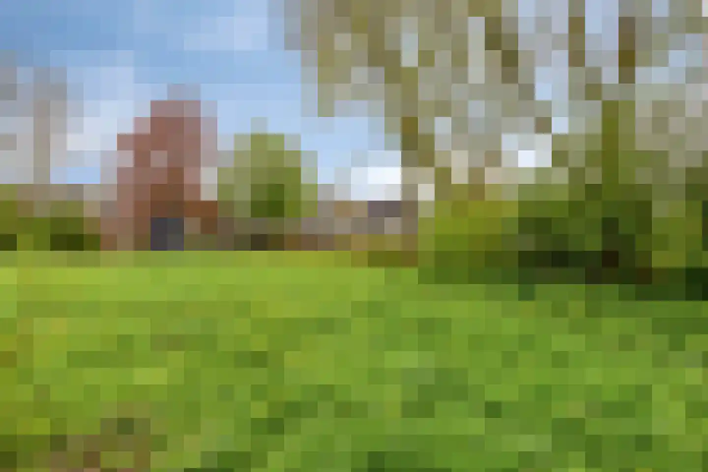 Kuipershoek 18 Drimmelen thumbnail 79