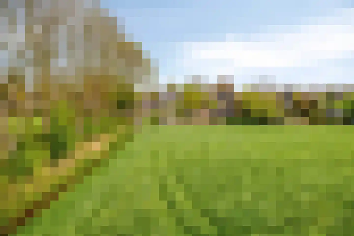 Kuipershoek 18 Drimmelen thumbnail 80