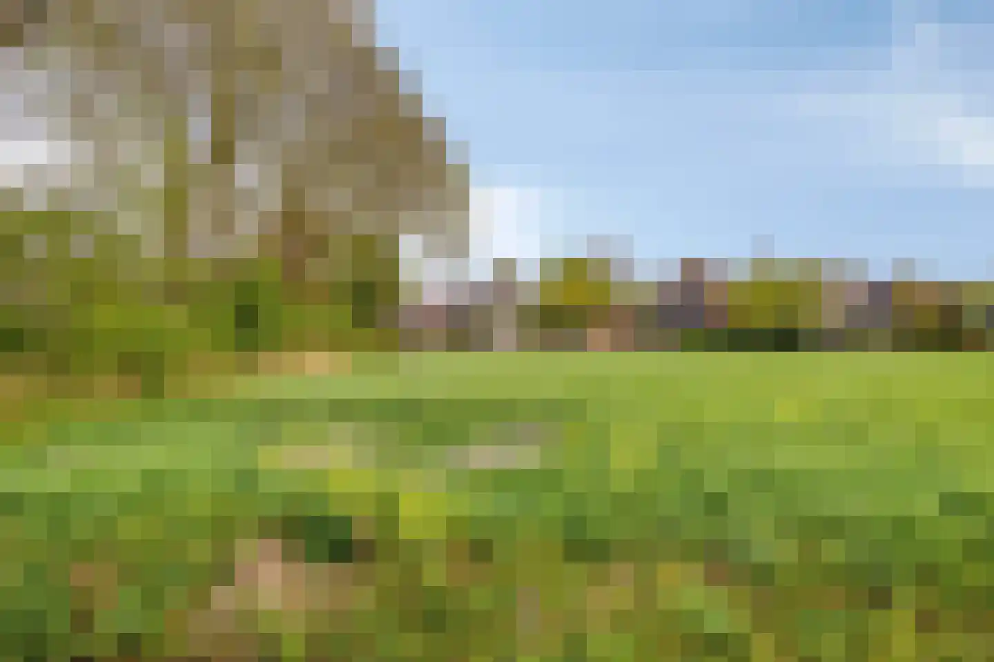 Kuipershoek 18 Drimmelen thumbnail 81