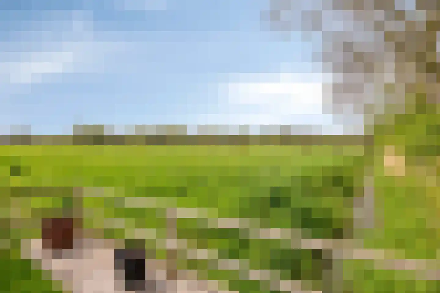 Kuipershoek 18 Drimmelen thumbnail 82