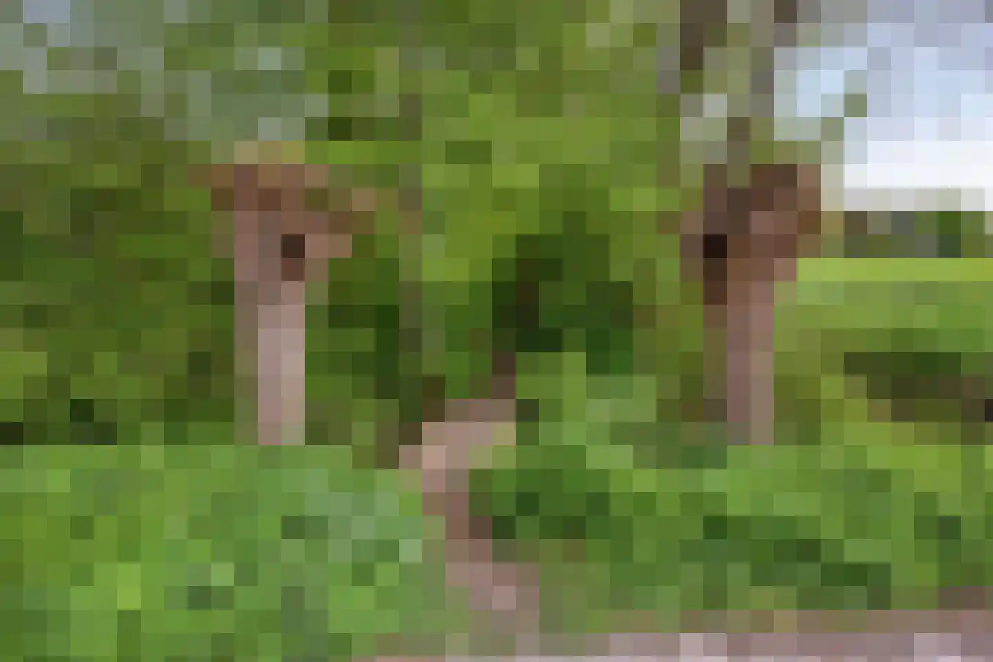 Kuipershoek 18 Drimmelen thumbnail 84