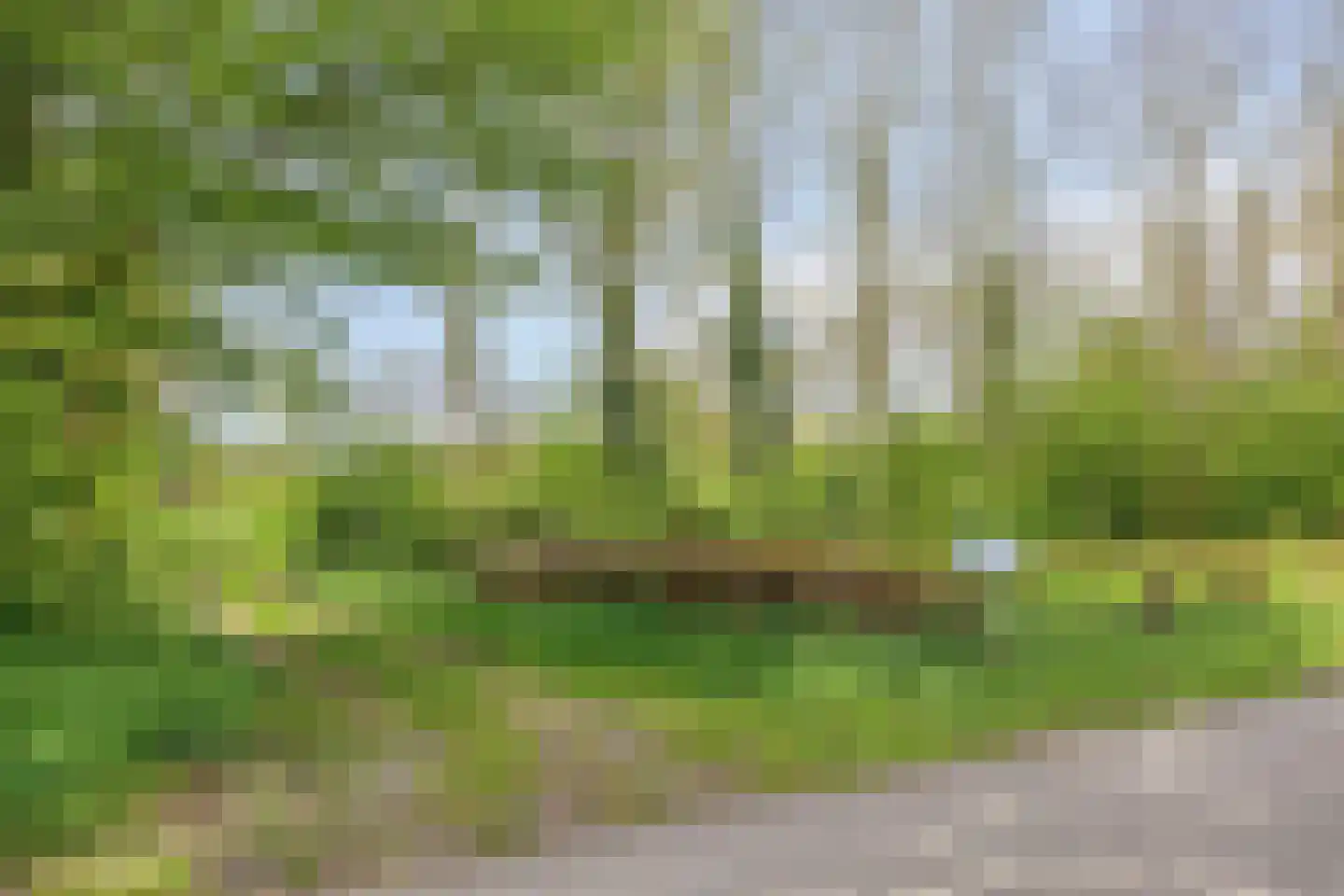 Kuipershoek 18 Drimmelen thumbnail 90