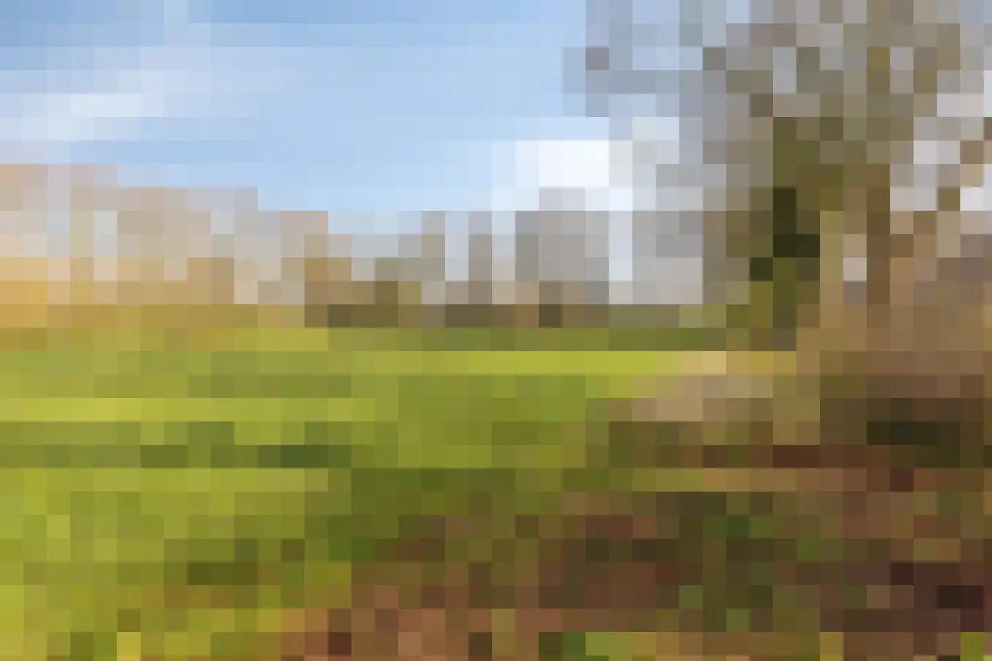 Kuipershoek 24 Drimmelen thumbnail 43
