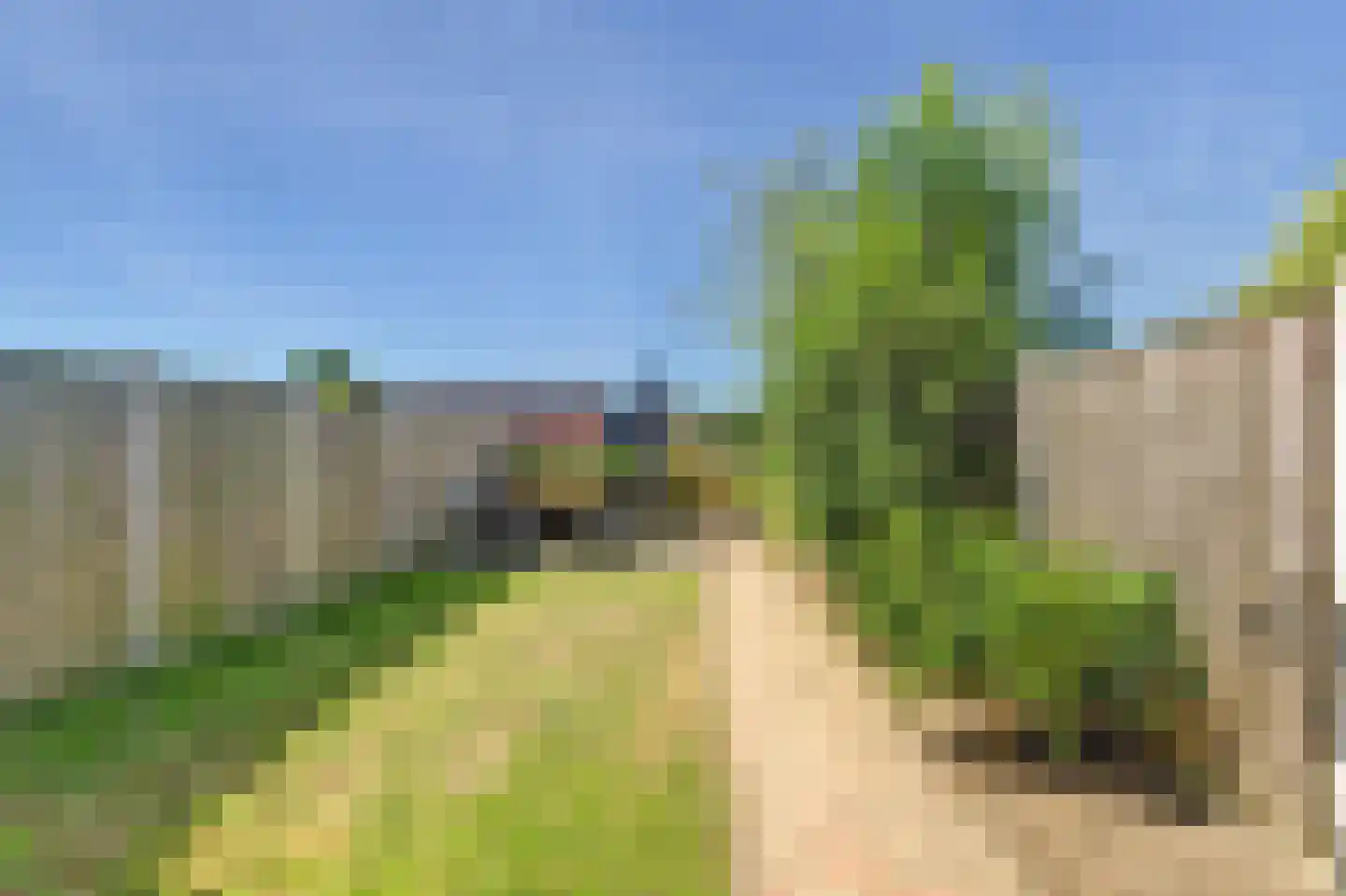 Kuipershoek 36 Drimmelen thumbnail 34