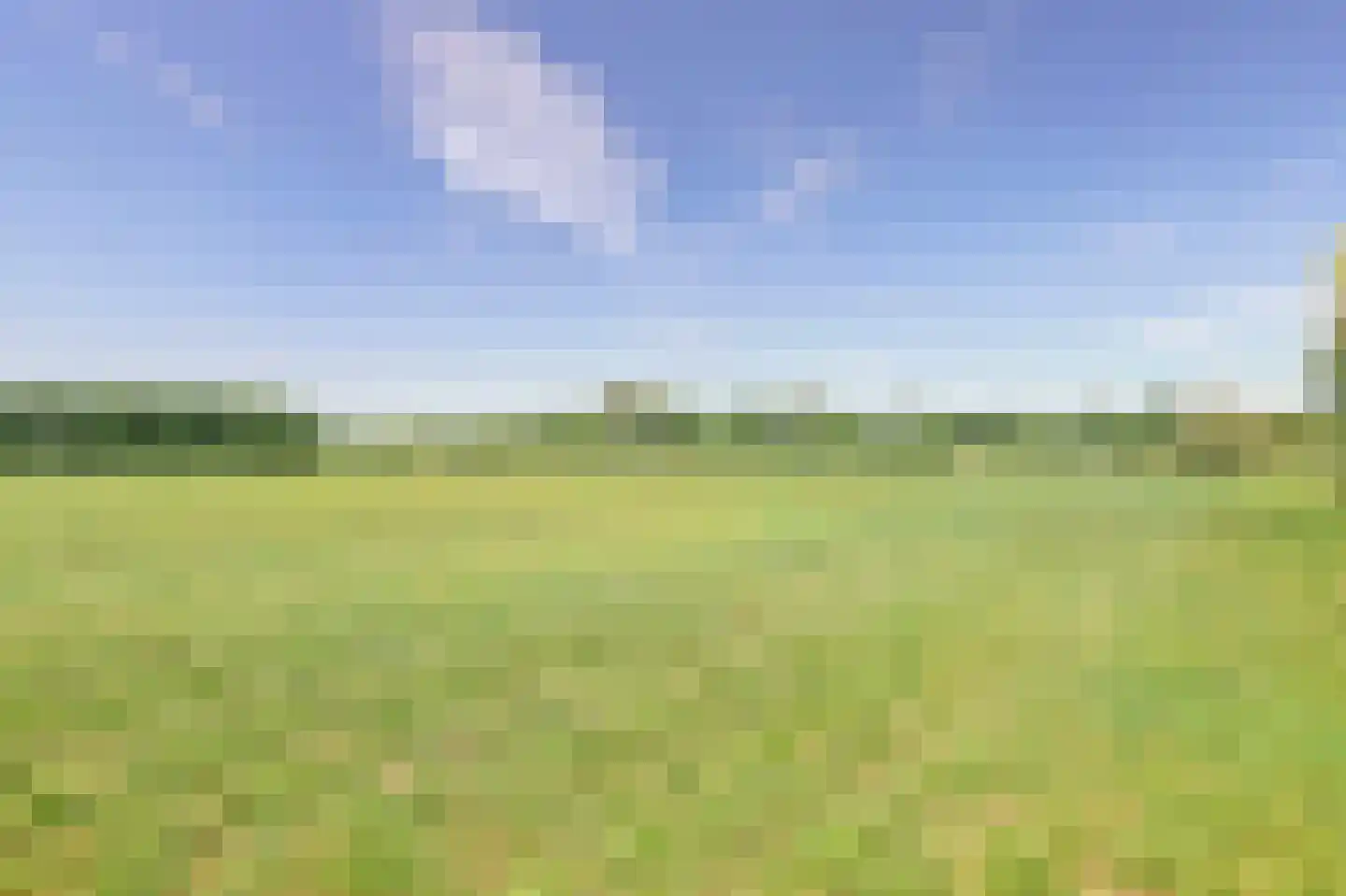 Kuipershoek 36 Drimmelen thumbnail 39