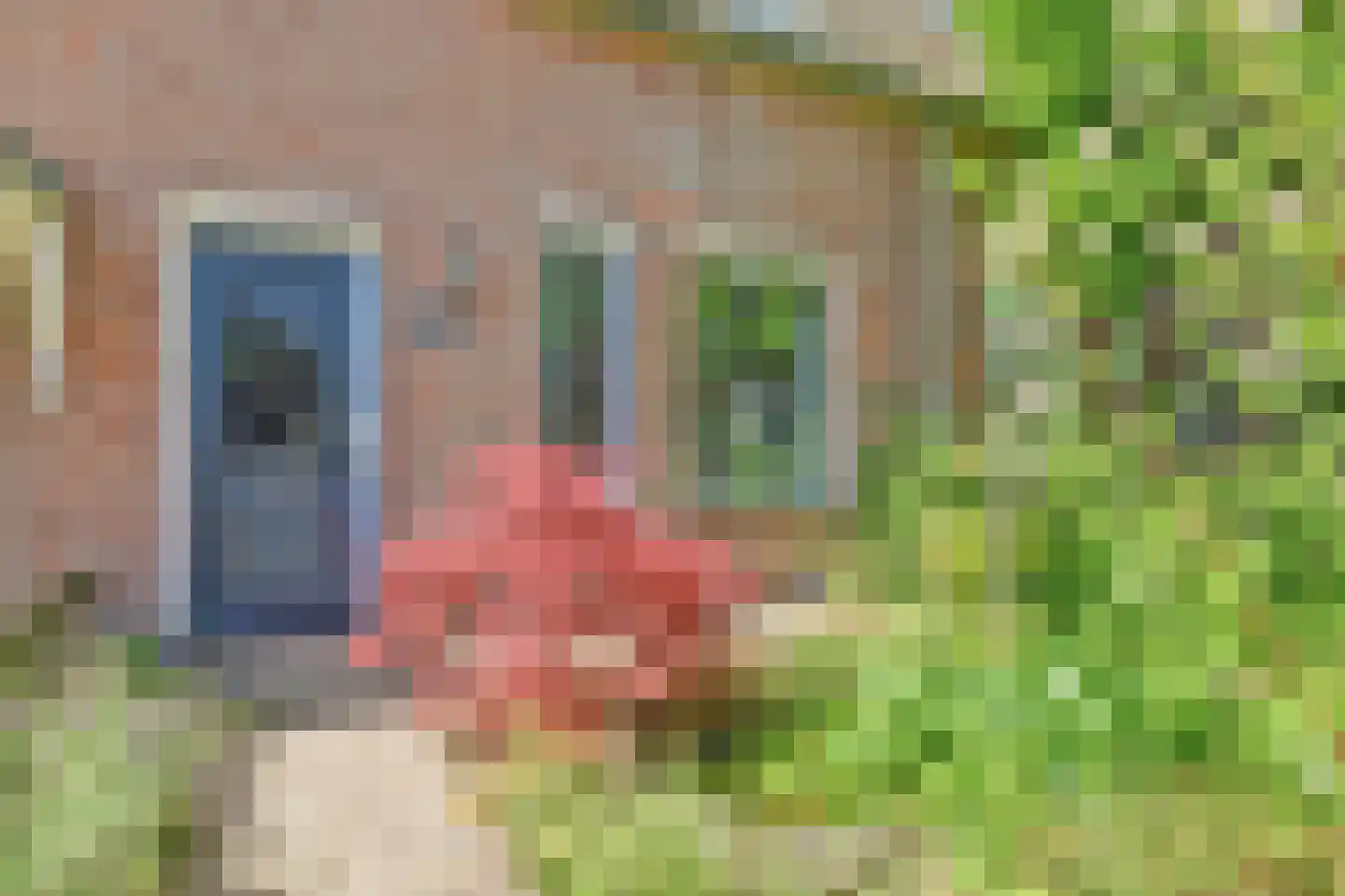 Kuipershoek 36 Drimmelen thumbnail 4