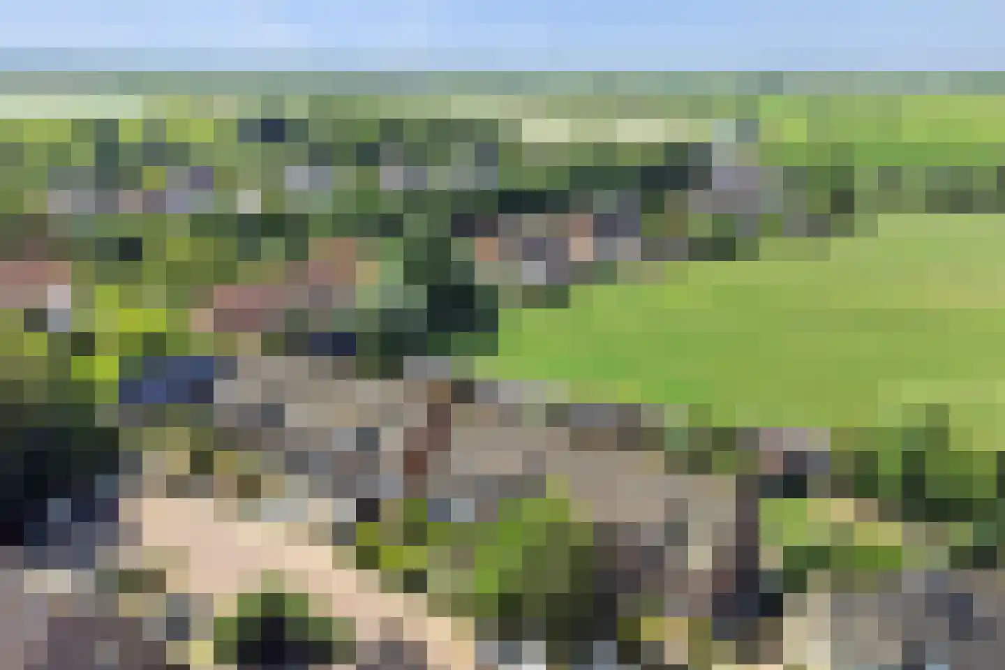 Kuipershoek 36 Drimmelen thumbnail 50