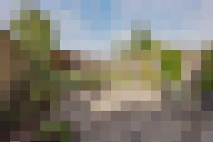Kuipershoek 38 Drimmelen thumbnail 32