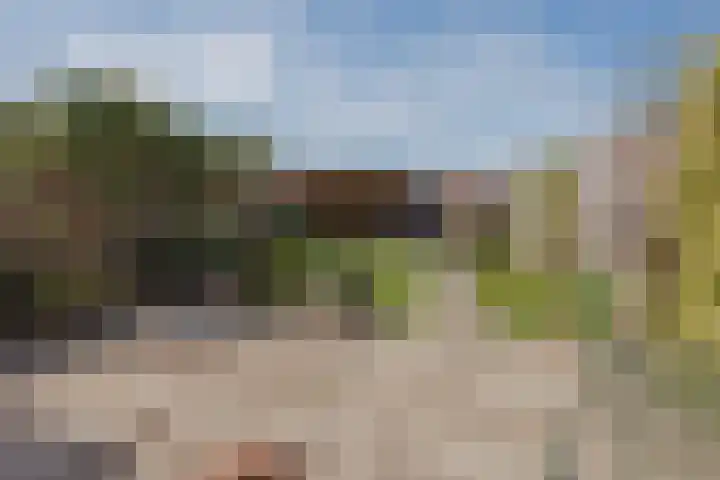 Kuipershoek 38 Drimmelen thumbnail 33