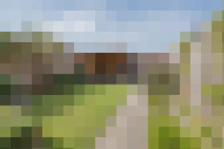 Kuipershoek 38 Drimmelen thumbnail 35