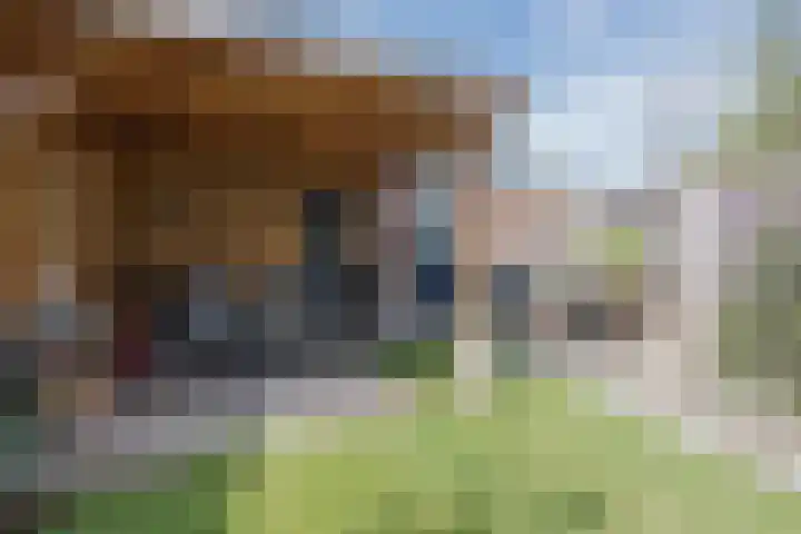 Kuipershoek 38 Drimmelen thumbnail 36