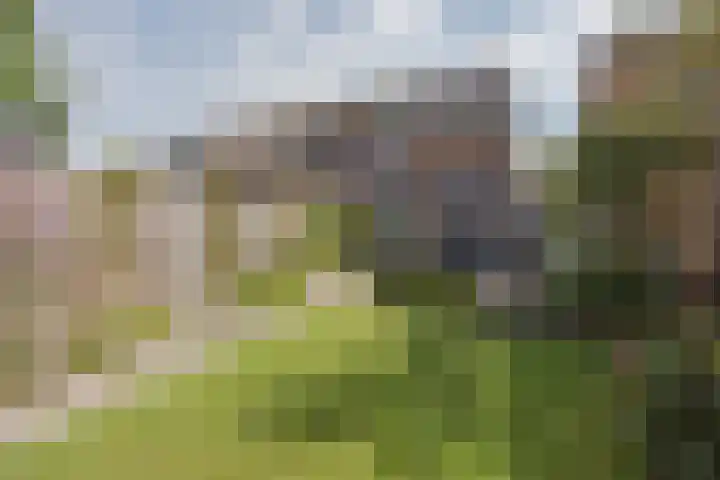 Kuipershoek 38 Drimmelen thumbnail 37