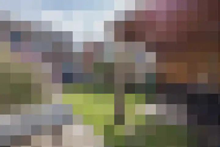 Kuipershoek 38 Drimmelen thumbnail 38