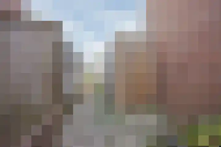 Kuipershoek 38 Drimmelen thumbnail 39