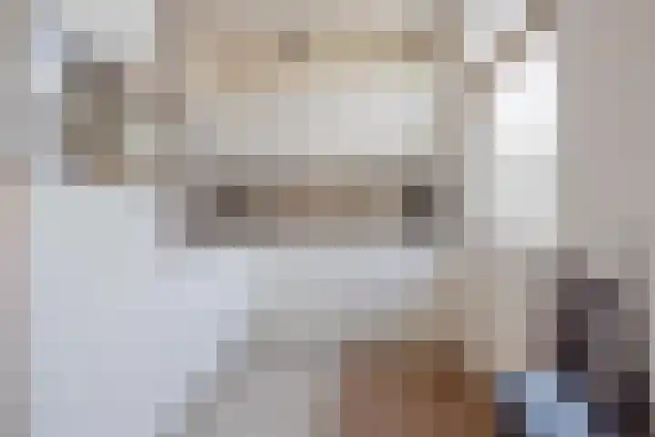 Kuipershoek 38 Drimmelen thumbnail 4