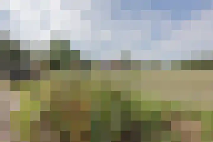 Kuipershoek 38 Drimmelen thumbnail 41