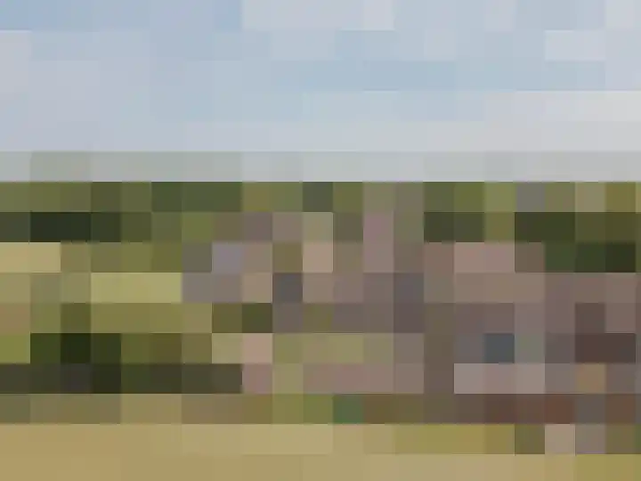 Kuipershoek 38 Drimmelen thumbnail 43