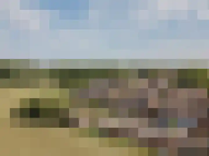 Kuipershoek 38 Drimmelen thumbnail 44