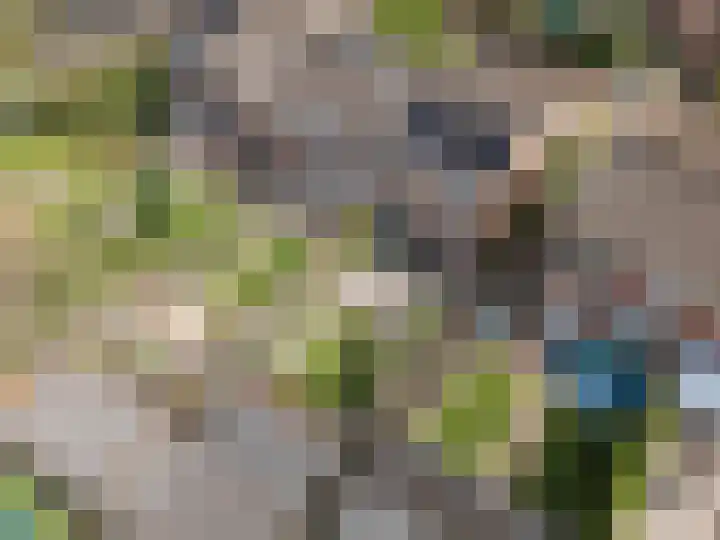 Kuipershoek 38 Drimmelen thumbnail 45