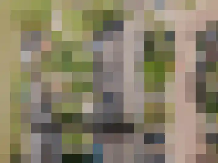 Kuipershoek 38 Drimmelen thumbnail 47