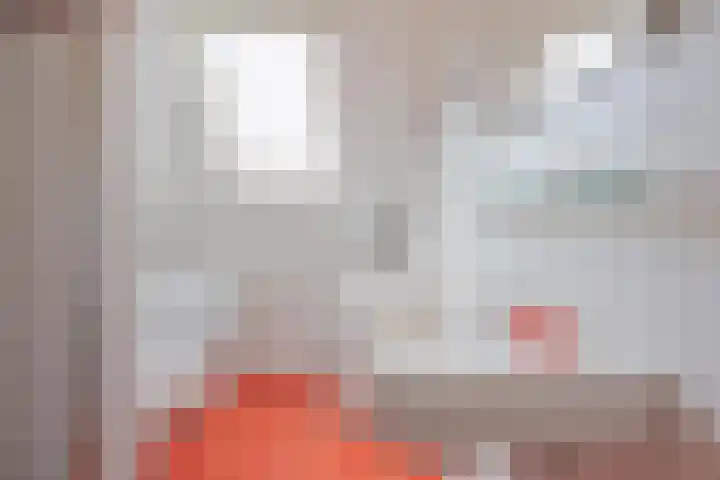 Kuipershoek 38 Drimmelen thumbnail 5
