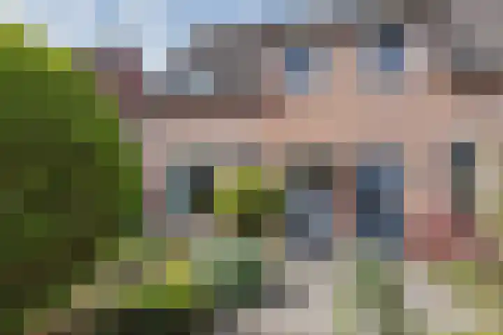 Kuipershoek 38 Drimmelen thumbnail 6