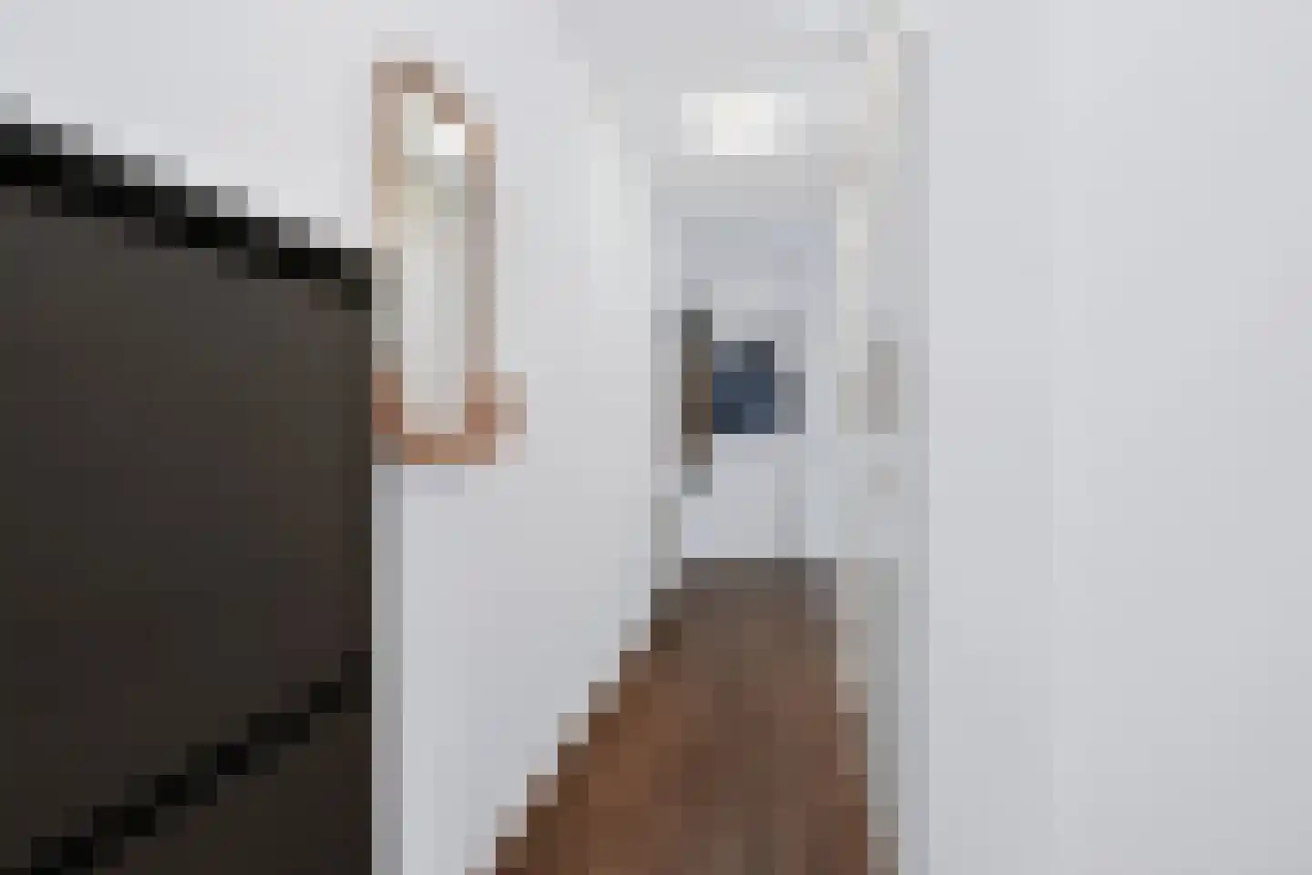 Kuipershof 23 Geleen thumbnail 17