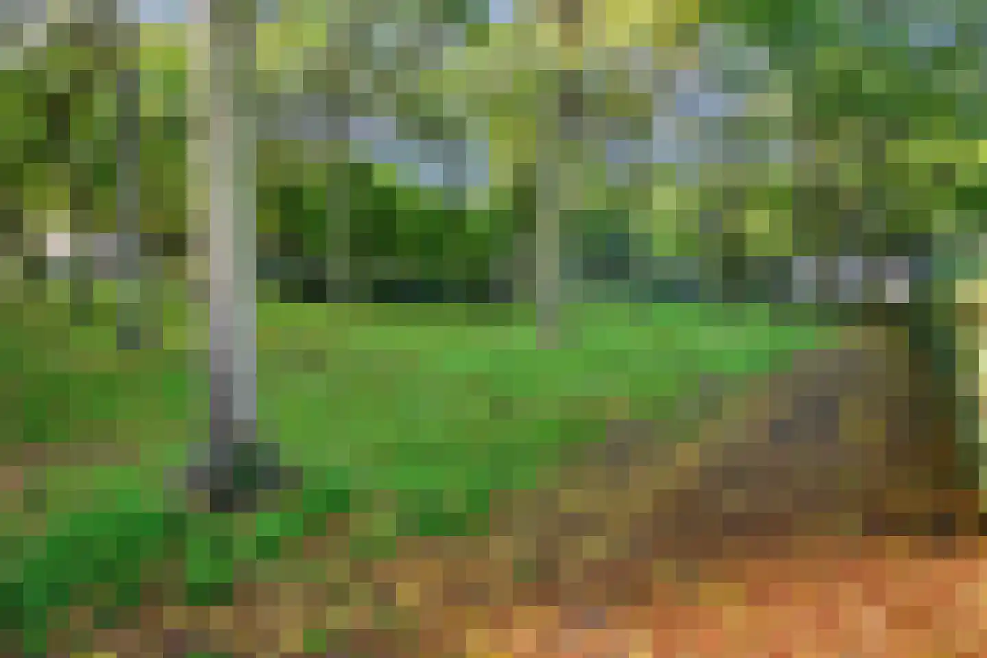 Kuipershof 23 Geleen thumbnail 23