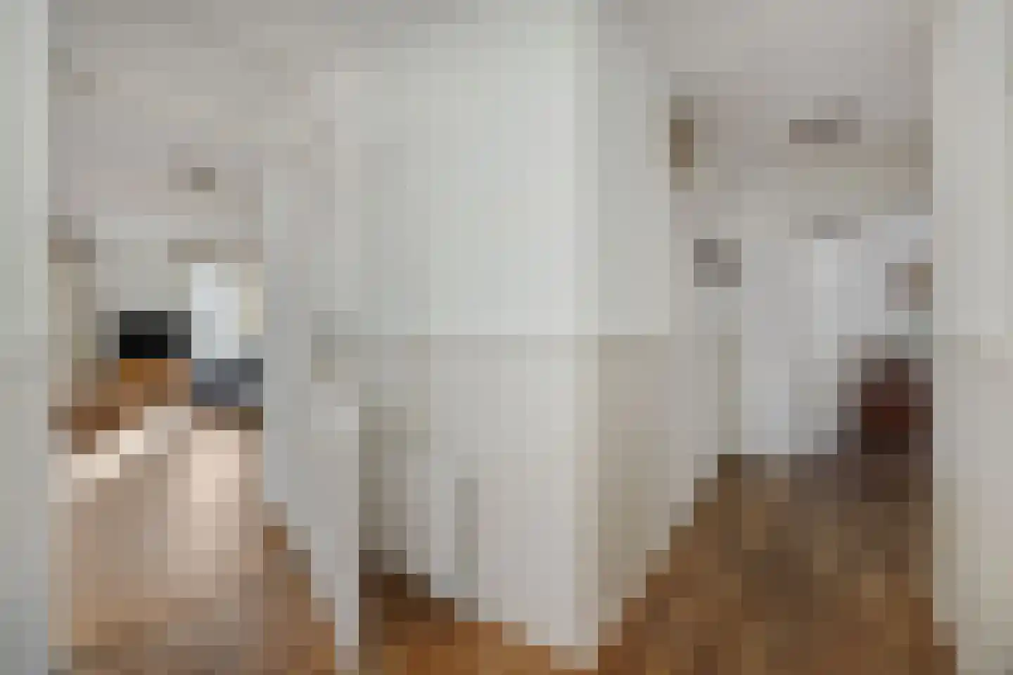 Kuipershof 9 Heesch thumbnail 13