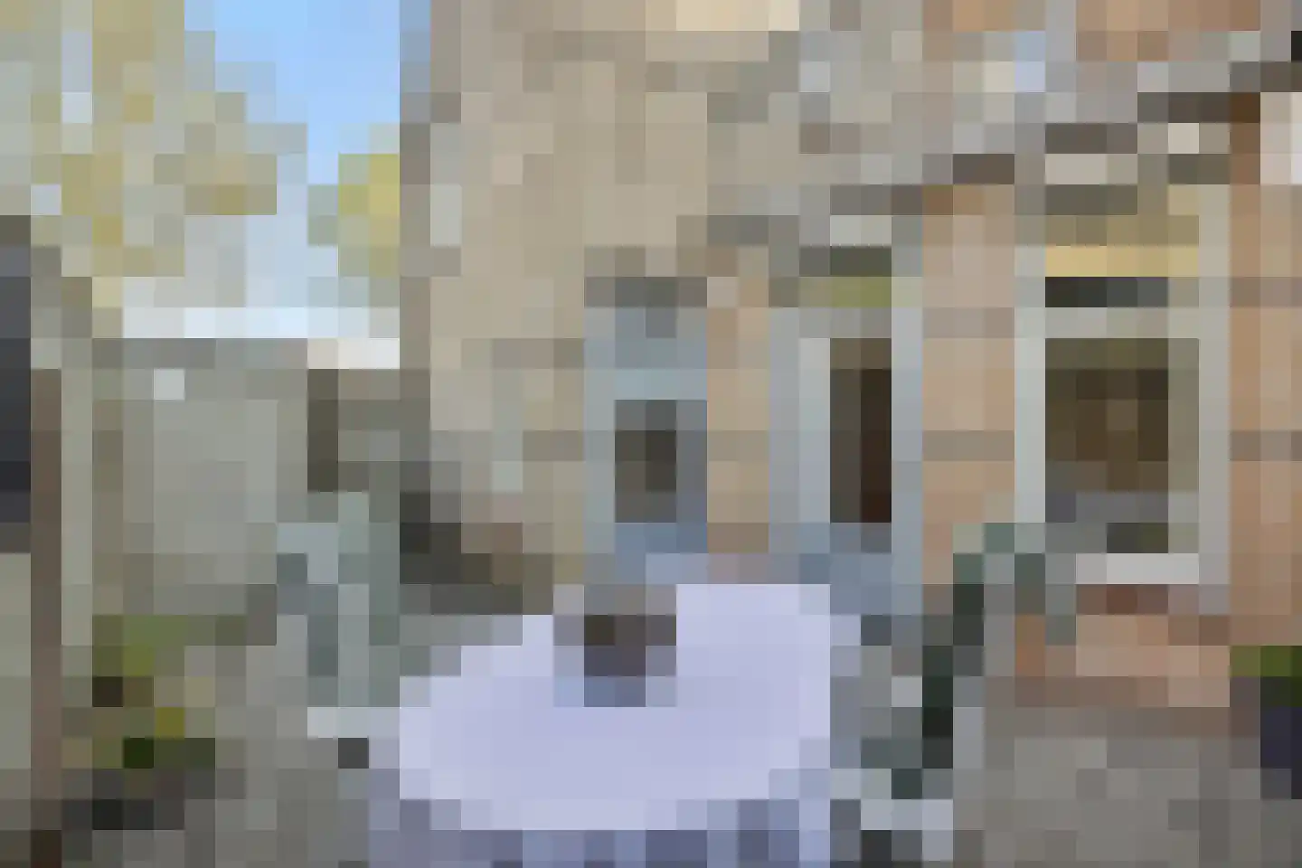 Kuipershof 9 Heesch thumbnail 25