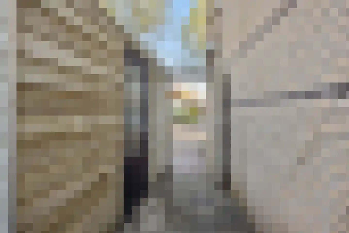 Kuipershof 9 Heesch thumbnail 27