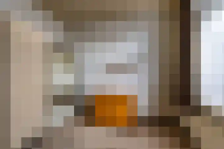 Kuiperslaan 10 Beetsterzwaag thumbnail 11