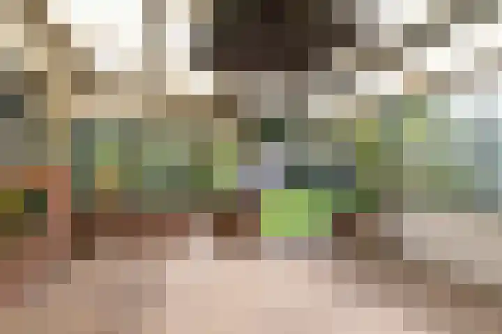 Kuiperslaan 10 Beetsterzwaag thumbnail 20