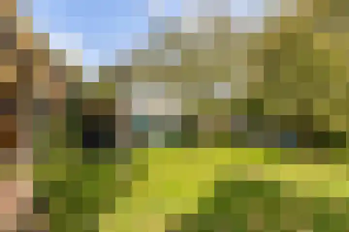Kuiperslaan 10 Beetsterzwaag thumbnail 21