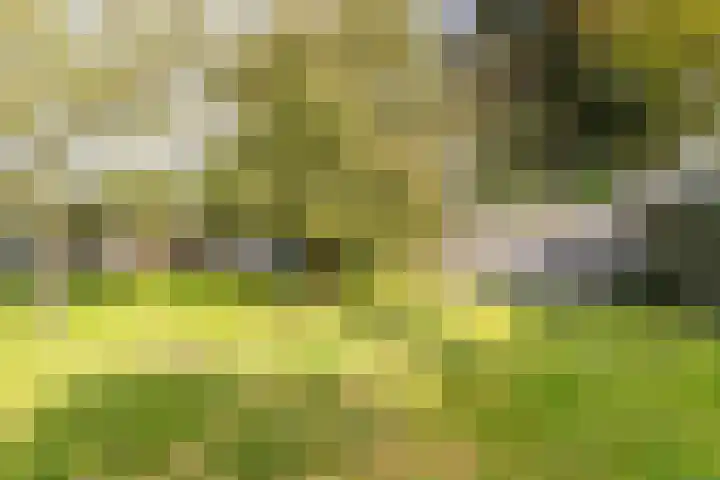 Kuiperslaan 10 Beetsterzwaag thumbnail 22
