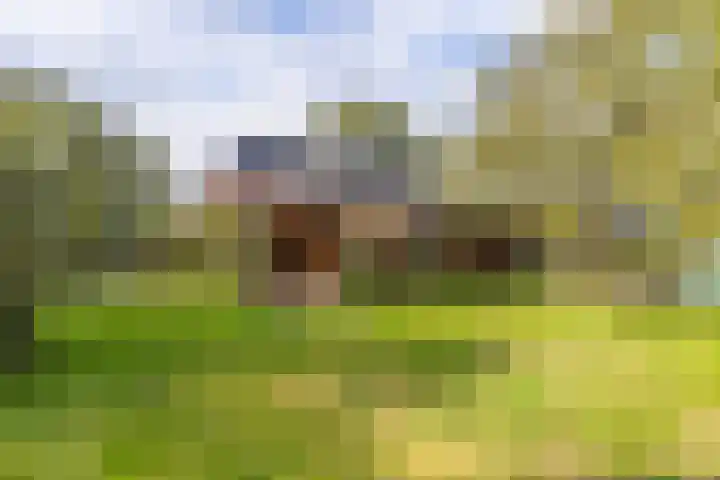 Kuiperslaan 10 Beetsterzwaag thumbnail 23