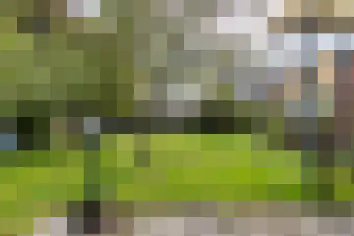 Kuiperslaan 10 Beetsterzwaag thumbnail 25