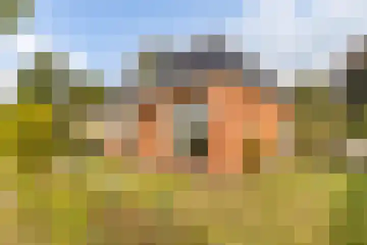Kuiperslaan 10 Beetsterzwaag foto 3