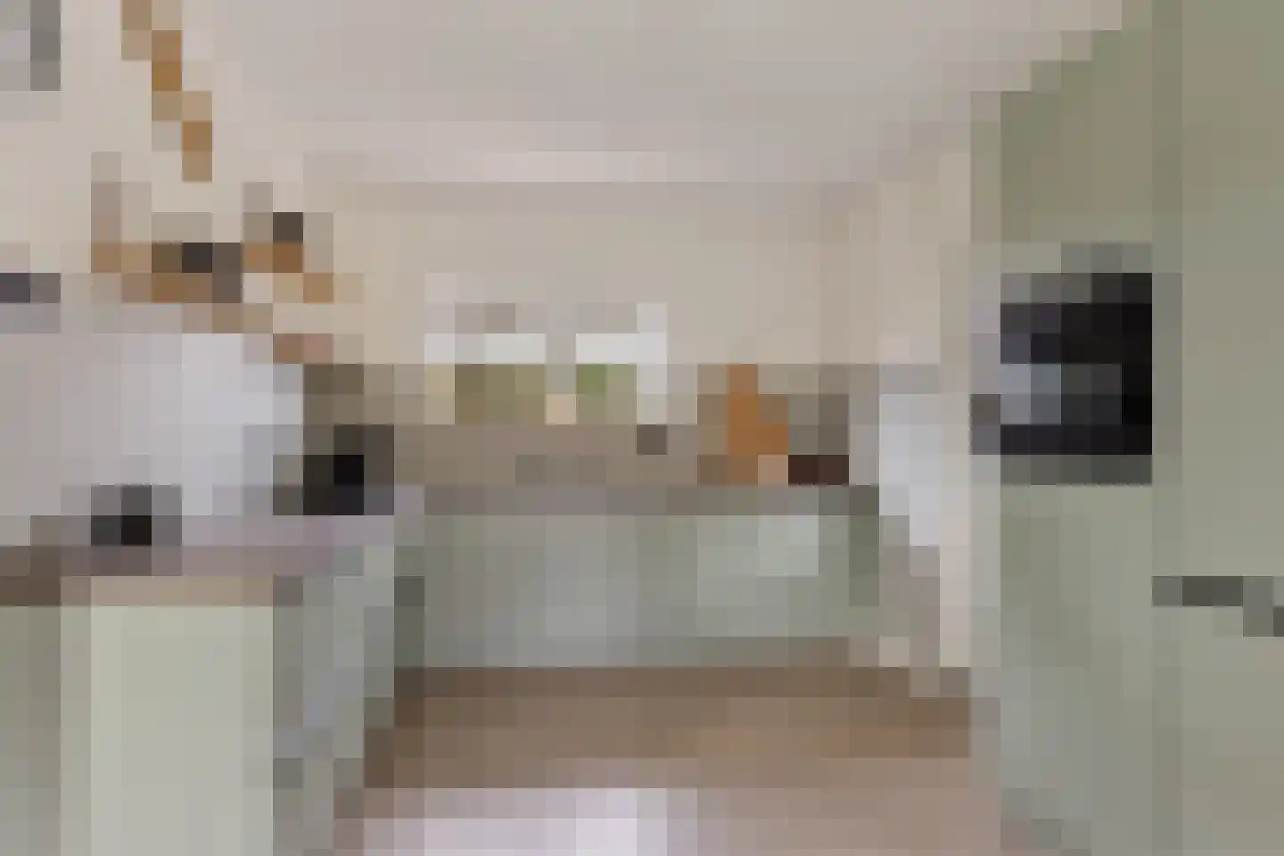 Kuiperslaan 22 Beetsterzwaag thumbnail 4