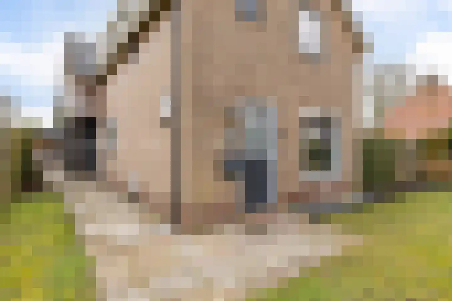 Kuiperslaan 22 Beetsterzwaag thumbnail 41