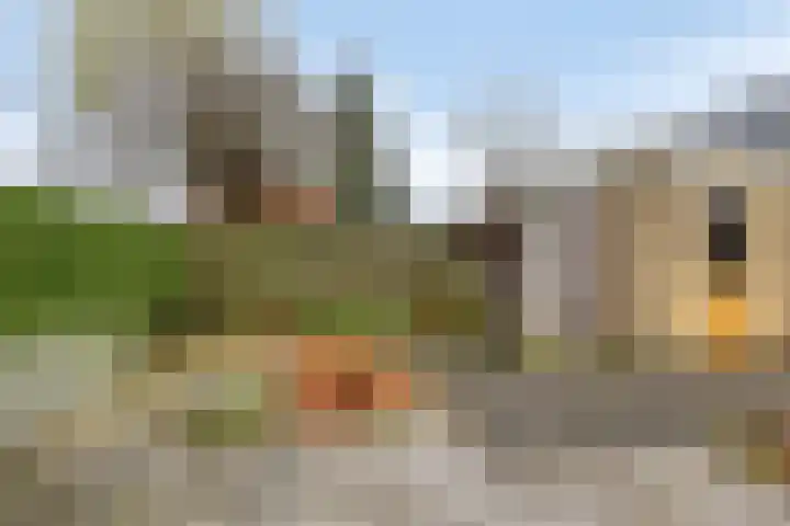 Kuiperslaan 54 Beetsterzwaag thumbnail 26