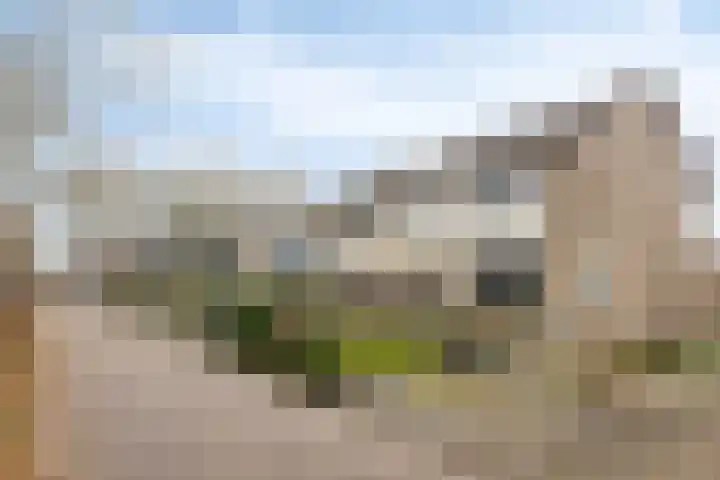 Kuiperslaan 54 Beetsterzwaag thumbnail 29