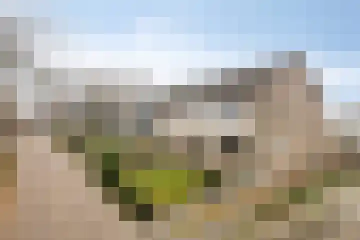Kuiperslaan 54 Beetsterzwaag thumbnail 33
