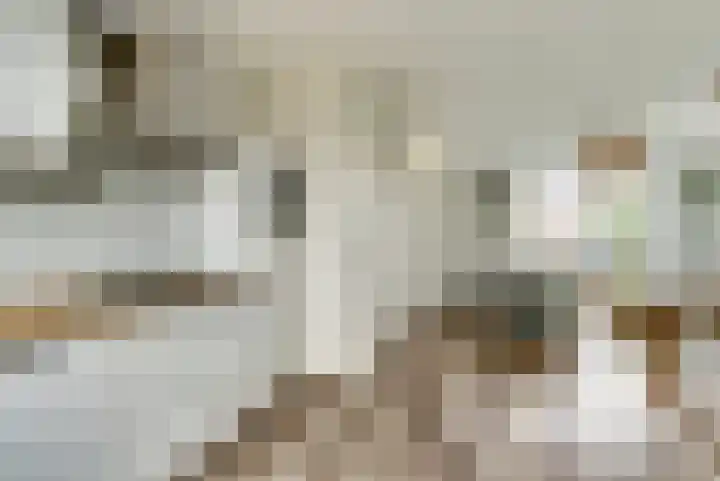 Kuiperspolderke 37 Raamsdonk thumbnail 11
