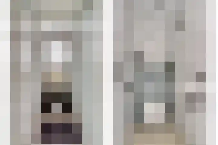Kuiperspolderke 37 Raamsdonk thumbnail 13